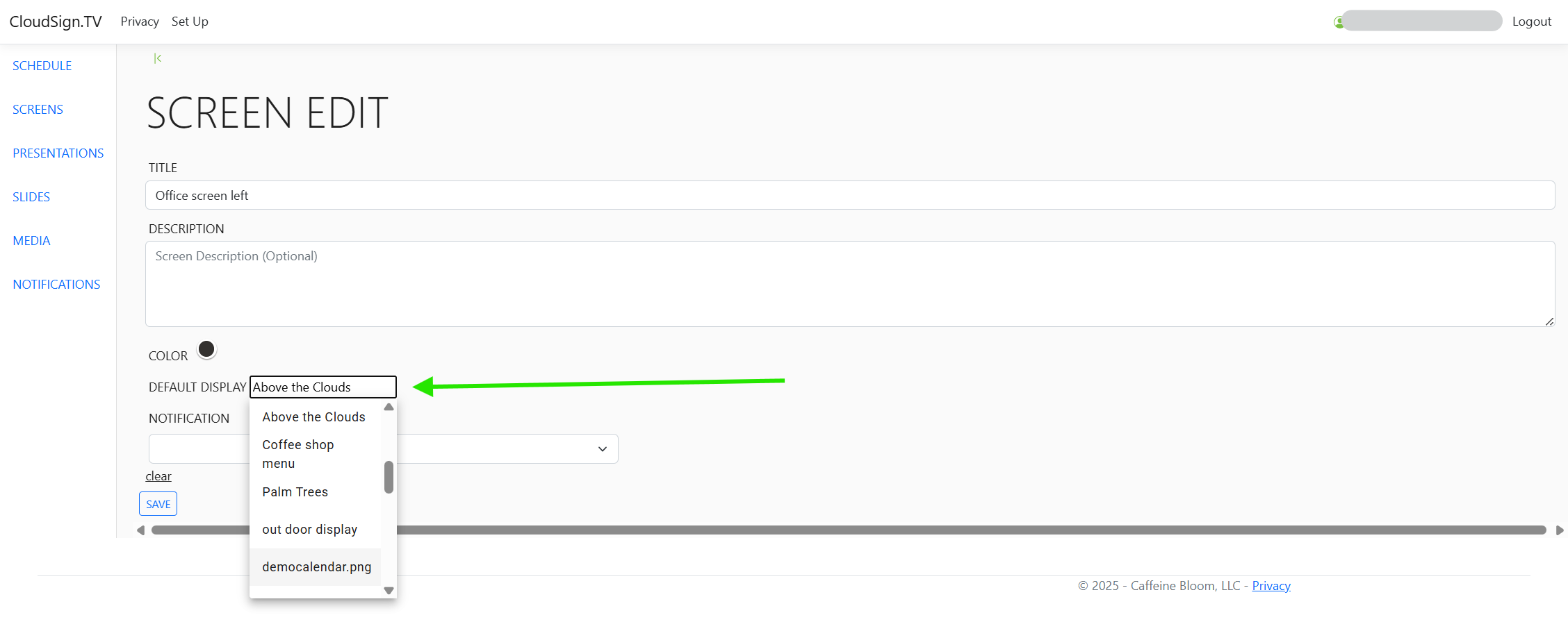 Default display selection